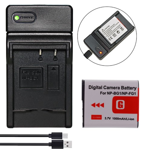 Bg1 fg1 batteria - np-bg1, +